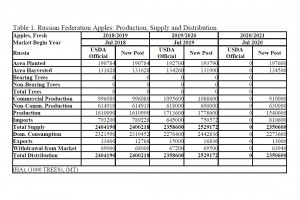  Zbiory, import, eksport, konsumpcja jabłek w Rosji w sezonie 2020/2021