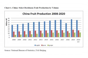  Produkcja jabłek, gruszek i winogron w Chinach w latach 2008-2020