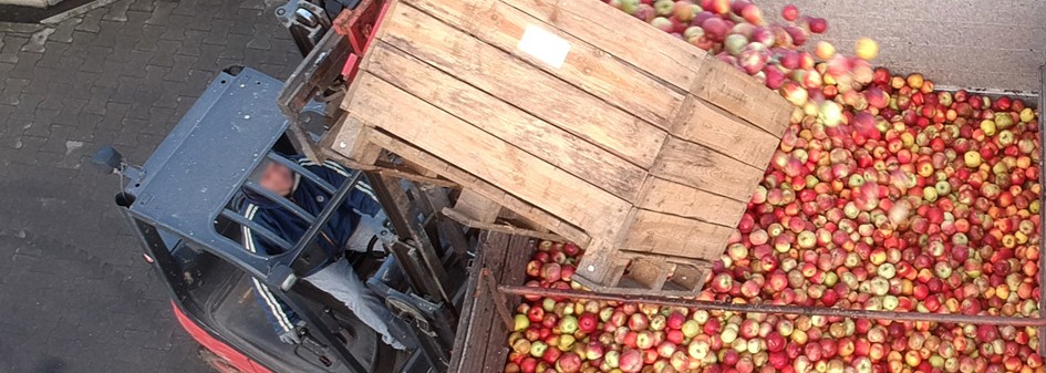 Jak aktualnie kształtują się ceny jabłek przemysłowych ?