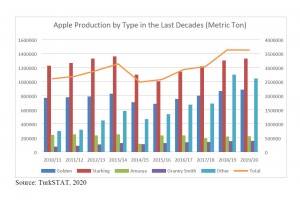   Zbiory jabłek w 2020 roku (odmiany) 