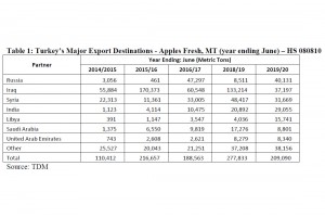  Eksport jabłek z Turcji w sezonach od 2014/2015 do 2019/2020