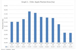  Powierzchnia sadów jabłoniowych w Chile od sezonu 2010/11 do 2020/21