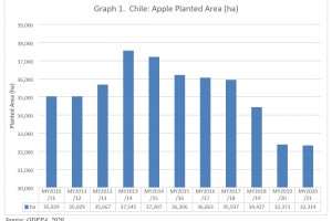  Powierzchnia sadów jabłoniowych w Chile od sezonu 2010/11 do 2020/21