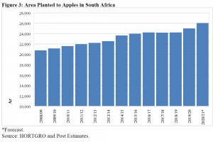  Południowa Afryka: Powierzchnia sadów jabłoniowych