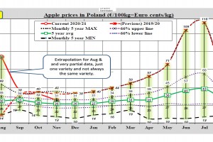  Ceny jabłek w Polsce