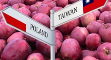 Eksport jabłek do Tajwanu będzie kontynuowany. Lista eksporterów