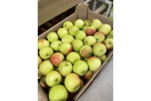  Jabłka - Ligol - 40,81 zł brutto / za 13 kg