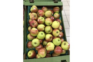  Jabłka odmiany Ligol za 1,75 zł za kg