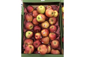  Jabłka odmiany Jonagold za 1,75 zł za kg