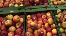 Jabłka w Biedronce o 50% tańsze – świąteczne promocje…