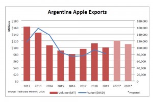  Argentyna: eksport jabłek w 2020 roku 