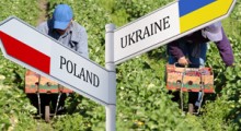 Aż 83,6% Ukraińców pracujących legalnie w UE pracuje w Polsce