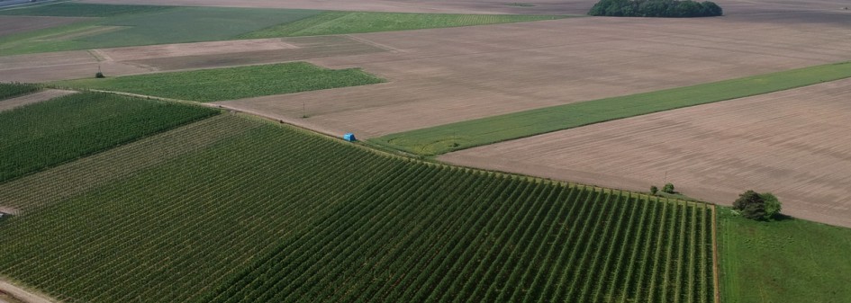 Zakaz sprzedaży ziemi państwowej nie spełnił oczekiwań sadownik&oacute;w i rolnik&oacute;w ! 