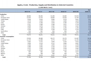  Zbiory i konsumpcja jabłek na Świecie w sezonie 2020/2021