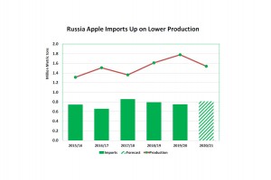  Rosja: Import jabłek w sezonie 2015/2016 -2020/2021