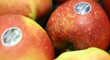 Specjalne oznakowanie opakowań owoców – informacja dla eksporterów