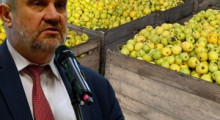 Ardanowski: Dzięki mojej decyzji pieniądze dostali polscy sadownicy 
