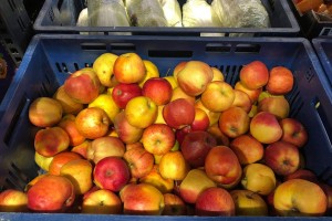  Jakość jabłek w Polo Market