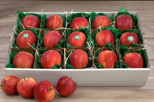  Polskie jabłka na prezent - 29,00 zł