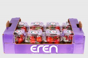Pierwsze truskawki oferowane przez firmę Eren Tarım - Turcja