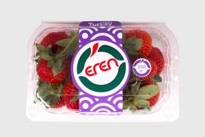 Pierwsze truskawki oferowane przez firmę Eren Tarım - Turcja