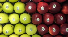 Zagro­żenia i wyzwaniem dla polskich jabłek i gruszek