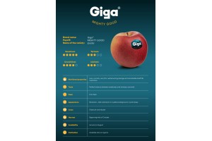  Charakterystyka odmiany jabłek Giga - część 1