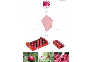  Charakterystyka odmiany jabłek RED Pop - część 2