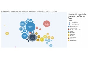  Rynek eksportowy dla włoskiego jabłka w 2019 roku.