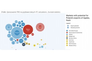  Rynek eksportowy dla polskiego jabłka w 2019 roku.