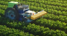 Mechaniczne zwalczanie szkodników na plantacjach truskawek ?