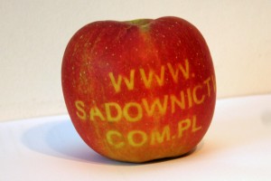  Jabłka z napisami - przykład 6