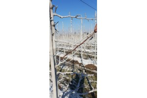  R&oacute;żnice mogą wynosić w graniach 10-15(20) stopni C.