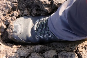  R&oacute;żnica pomiędzy lutym/marcem 2020, a lutym/marcem 2021 to na pewno wilgotność gleby.