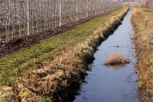  Musicie oceni sami, gdyż każdy ma inne stanowisko oraz ilość śniegu kt&oacute;ra już teraz zamieniła się w wodę.