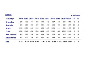  Prognoza zbiorów jabłek na półkuli południowej w 2021 roku  