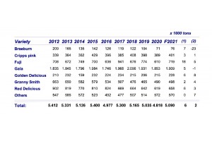  Prognoza zbiorów odmian jabłek na półkuli południowej w 2021 roku  