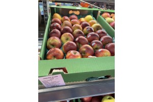  Jabłka odmiany Elise - 3,49 zł/kg