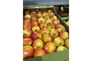  Jabłka odmiany Szampion  - 3,49 zł/kg