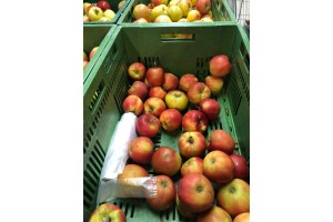  Fot 2. Ceny i jakość jabłek w Intermarche