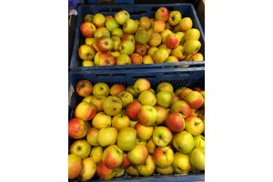  Fot 1. Ceny i jakość jabłek w Polo Market