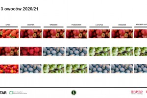  Konsumpcja owoców na początku 2021 roku