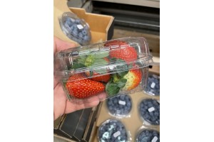  Truskawka - Dostawca Agronom Berries Zienki, Polska