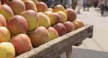 (Za ile) Sprzedaliśmy jabłka do Indii w 2020 roku 