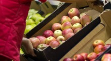Polskie jabłka pozostaną w czeskich sklepach 
