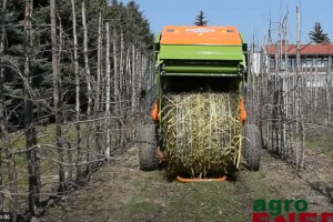  Prasa belująca do zbioru gałęzi Wolagri