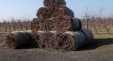Biznes z patyków - ILE za maszyny, za ILE sprzedamy biomasę ?