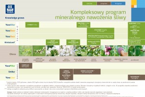  Program nawożenia ŚLIWY