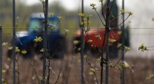 Wycofanie środków ochrony roślin. Jaka jest odpowiedź MRiRW 