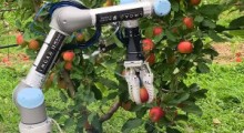 Apple Harvester 3 – robot do zbioru jabłek 